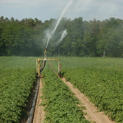 Spiral Nozzle Applications - Agriculture Spiral Nozzle Applications - Agriculture