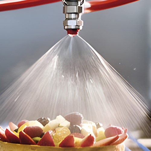 Spiral Nozzle Applications - food processing Spiral Nozzle Applications - food processing